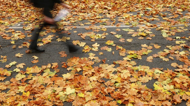A student at Westminster School walks through fallen leaves on an autumnal day in central London, November 20, 2012.